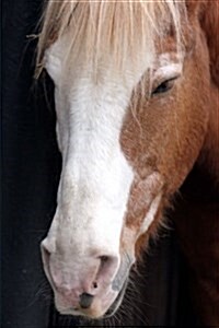 Close-Up of a Lovely Chestnut Horse with a White Face Journal: 150 Page Lined Notebook/Diary (Paperback)
