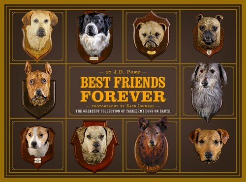 Best Friends Forever: The Greatest Collection of Taxidermy Dogs on Earth (Hardcover)