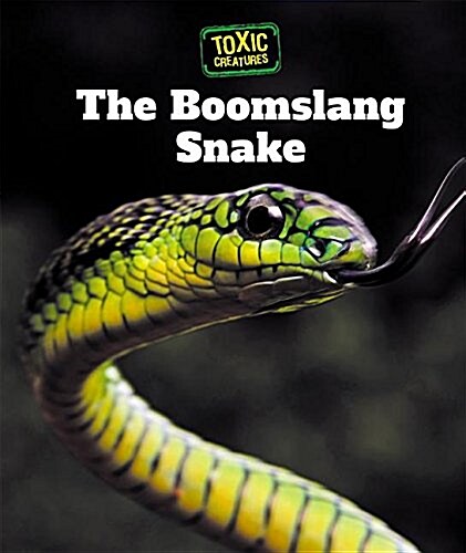 The Boomslang Snake (Paperback)