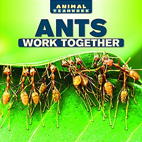 Ants Work Together (Library Binding)