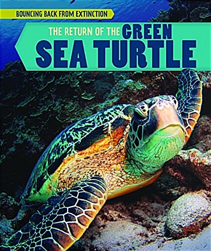 The Return of the Green Sea Turtle (Library Binding)