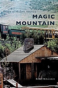 Magic Mountain (Hardcover)