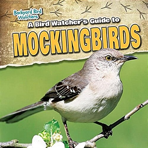 A Bird Watchers Guide to Mockingbirds (Paperback)