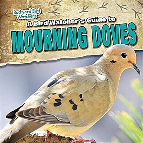 A Bird Watchers Guide to Mourning Doves (Paperback)