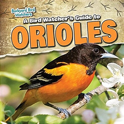 A Bird Watchers Guide to Orioles (Library Binding)