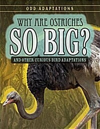 Why Are Ostriches So Big?: And Other Curious Bird Adaptations (Paperback)