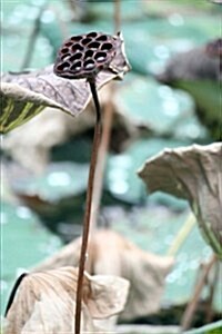 A Dried Lotus Seed Pod Water Plant Journal: 150 Page Lined Notebook/Diary (Paperback)