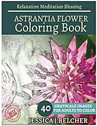 Astrantia Flower Coloring Book for Adults Relaxation Meditation Blessing: Sketches Coloring Book 40 Grayscale Images (Paperback)