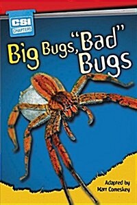 Big Bugs, Bad Bugs (Paperback)