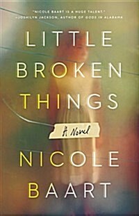 Little Broken Things (Paperback)