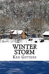 Winter Storm (Paperback)