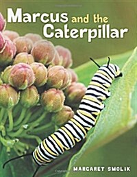 Marcus and the Caterpillar (Paperback)