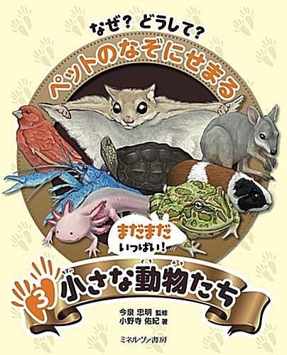 まだまだいっぱい! 小さな動物たち (なぜ？ どうして？ ペットのなぞにせまる) (大型本)