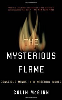 [중고] The Mysterious Flame: Conscious Minds in a Material World (Paperback)