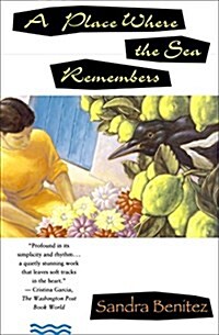 Place Where the Sea Remembers (Paperback)