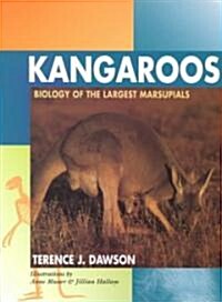 Kangaroos: Biology of the Largest Marsupials (Paperback)