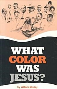 What Color Was Jesus? (Paperback)