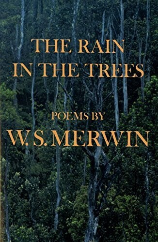 The Rain in the Trees (Paperback)