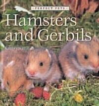 Hamsters and Gerbils (Library Binding)