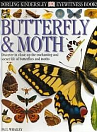 [중고] Butterfly & Moth (Hardcover)