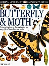 Butterfly & Moth (Library)