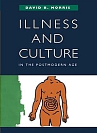 Illness and Culture in the Postmodern Age (Paperback)