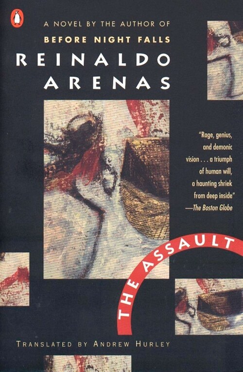 The Assault : A Novel (Paperback)