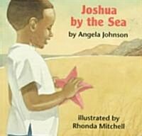 Joshua by the Sea (Board Books)