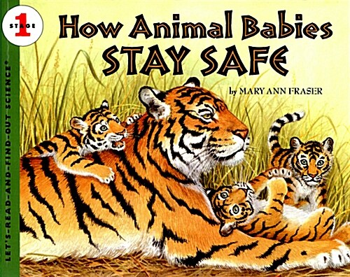 [중고] How Animal Babies Stay Safe (Paperback)