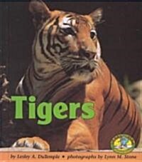 Tigers (Library)