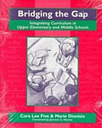 [중고] Bridging the Gap (Paperback)