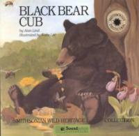 Black Bear Cub (Paperback)