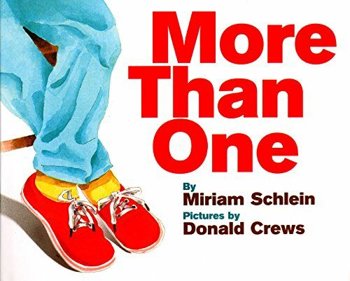 More Than One (Hardcover)