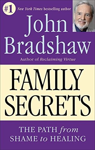 [중고] Family Secrets: The Path from Shame to Healing (Paperback)