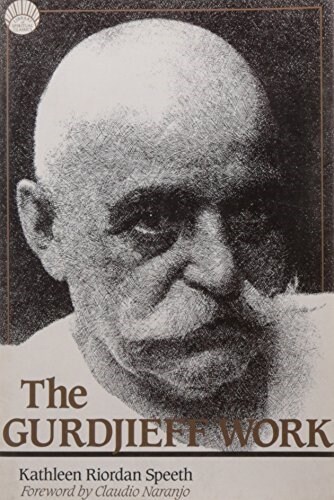 The Gurdjieff Work (Paperback, 2)