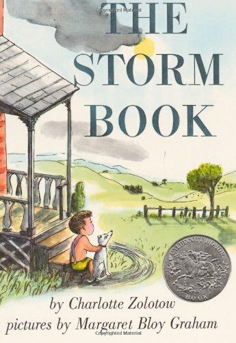 [중고] The Storm Book: A Caldecott Honor Award Winner (Paperback)