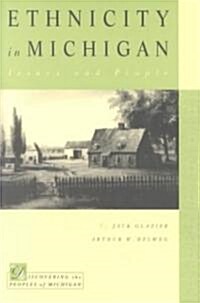 Ethnicity in Michigan (Paperback)