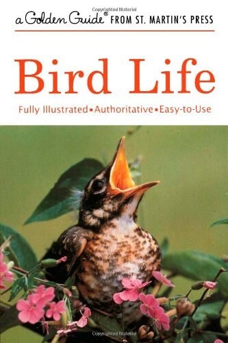 Bird Life (Paperback, Updated)