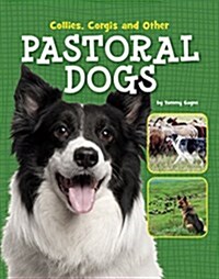 Collies, Corgis and Other Pastoral Dogs (Paperback)