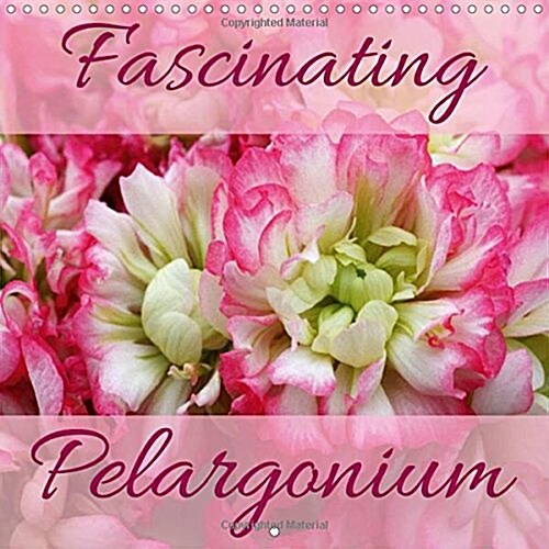Fascinating Pelargonium 2018 : Discover and Enjoy 12 Fascinating Pelargonium Hybrids (Calendar, 4 ed)