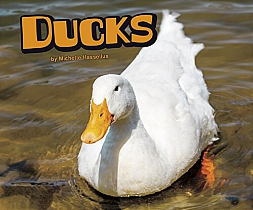Ducks (Paperback)