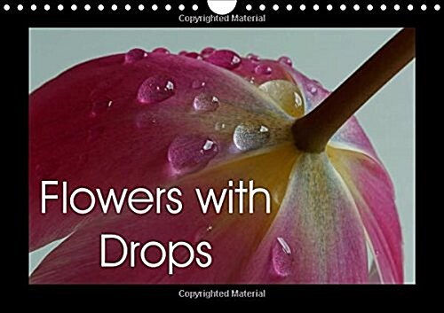 Flowers with Drops 2018 : A Cheerful Selection of Colorful Flowers Covered with Drops (Calendar, 4 ed)