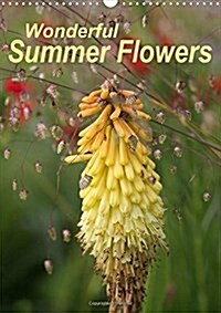 Wonderful Summer Flowers 2018 : Endless Summer for 12 Months (Calendar, 3 ed)