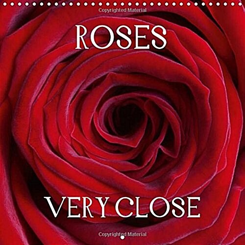Roses Very Close 2018 : Look into the Hearts of Roses (Calendar, 3 ed)