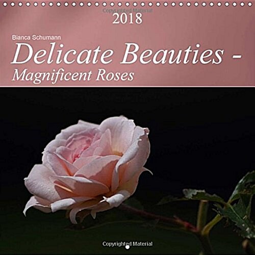 Delicate Beauties - Magnificent Roses 2018 : The Rose: Queen of the Flowers (Calendar, 4 ed)