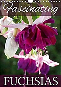 Fascinating Fuchsias 2018 : Discover the Beauty of Fuchsias (Calendar, 4 ed)
