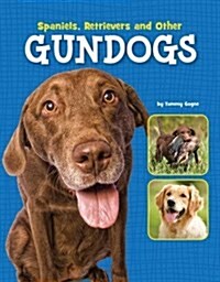Spaniels, Retrievers and Other Gundogs (Paperback)