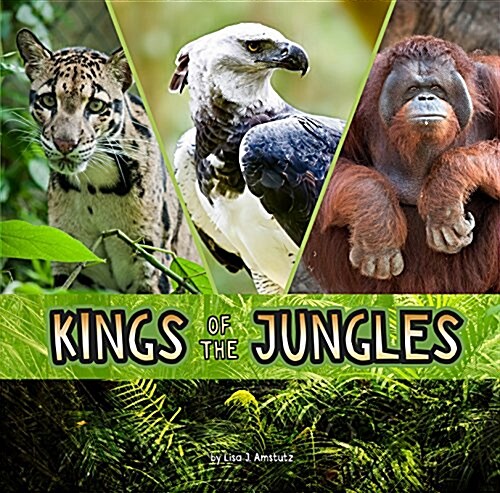 Animal Rulers Pack A of 6 (Package)