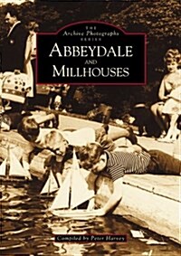 Abbeydale and Millhouses (Paperback)