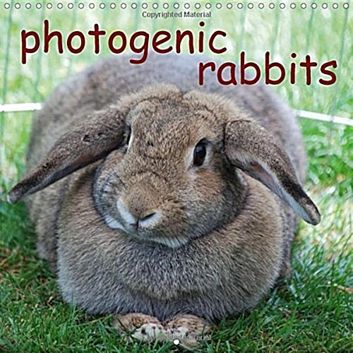 Photogenic Rabbits 2018 : An Amusing Planner About Our Favorite Pets (Calendar, 4 ed)